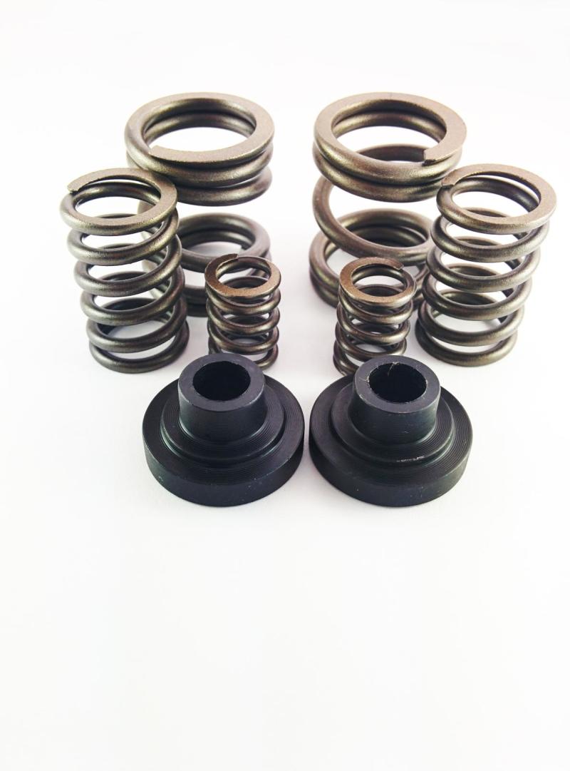 DDP DDP 34KGSK - DDPDDP 34KGSK - DDP 94-98 Dodge Cummins 5.9L 12V P-Pump 3000 & 4000 RPM Governor Spring Kit - Shipped in Europe - Tuningsupply.com