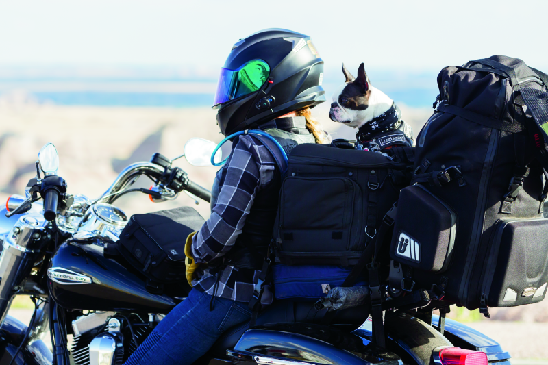 Kuryakyn 5288 - KUR5288 - Kuryakyn Grand Pet Palace - Shipped in Europe - Tuningsupply.com