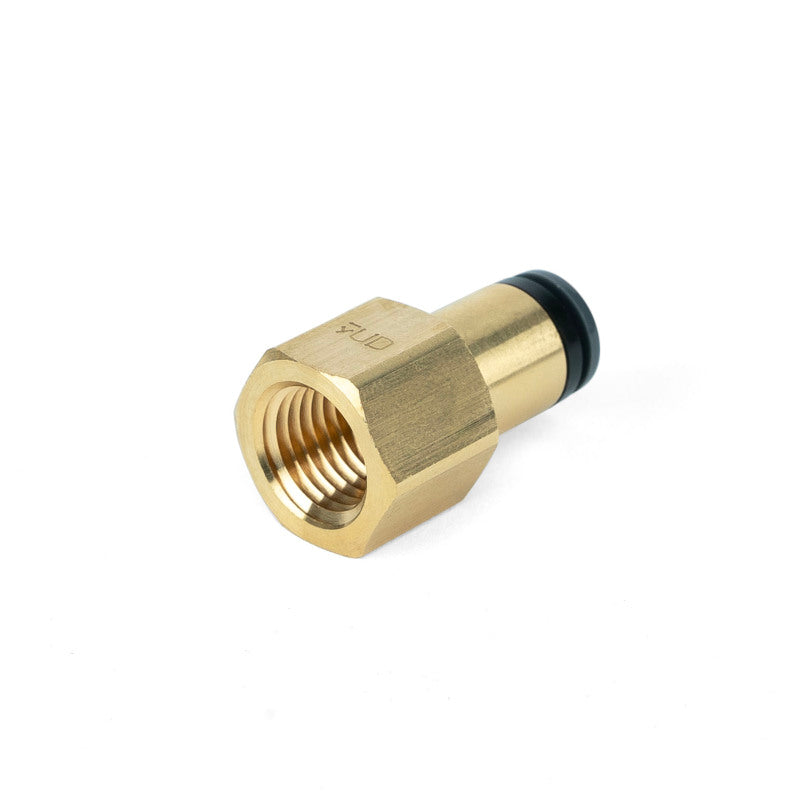 Air Lift - ALF21810 - Air Lift Straight Female - 1/4in FNPT X 1/4in PTC - Shipped in Europe - Tuningsupply.com