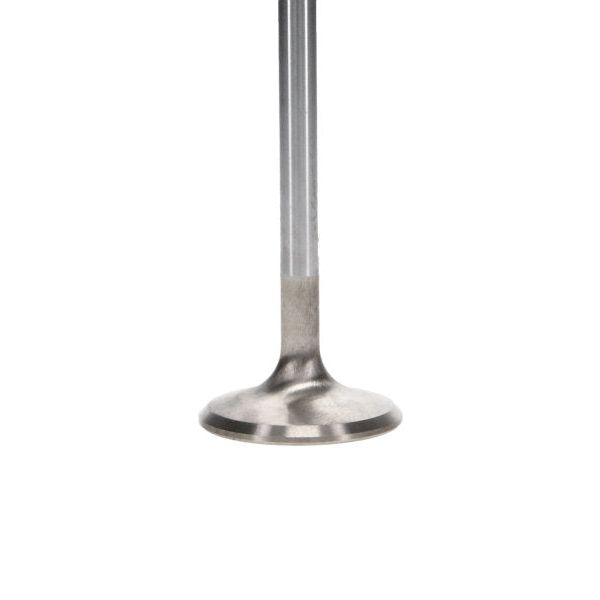 Manley Performance 11643-10 - MAN11643-10 - Manley up to 2010 Dodge Viper V-10 1.600 Dia Race Master Exhaust Valves (Set of 10) - Shipped in Europe - Tuningsupply.com