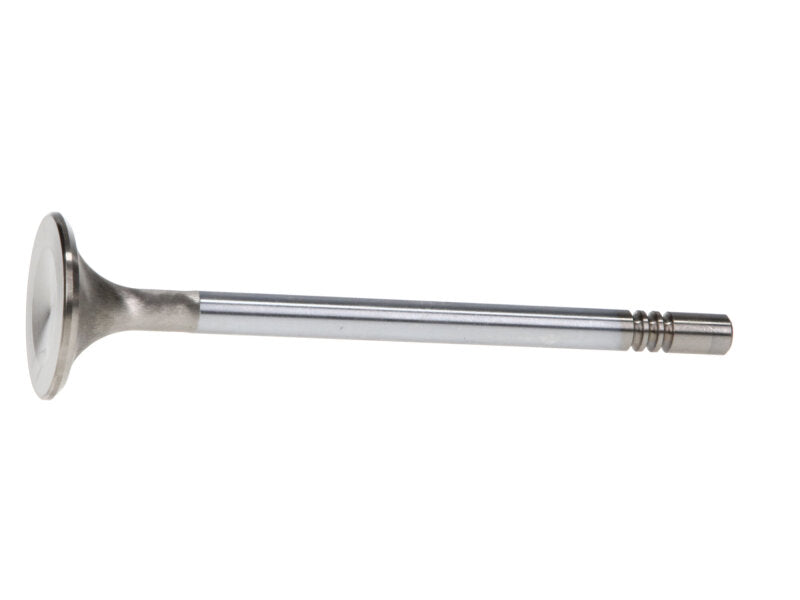 Manley Performance 12629-8 - MAN12629-8 - Manley Ford Modular Coyote 5.0L Gen III Race Master Series Exhaust Valve Set - 1.260in Dia - Shipped in Europe - Tuningsupply.com