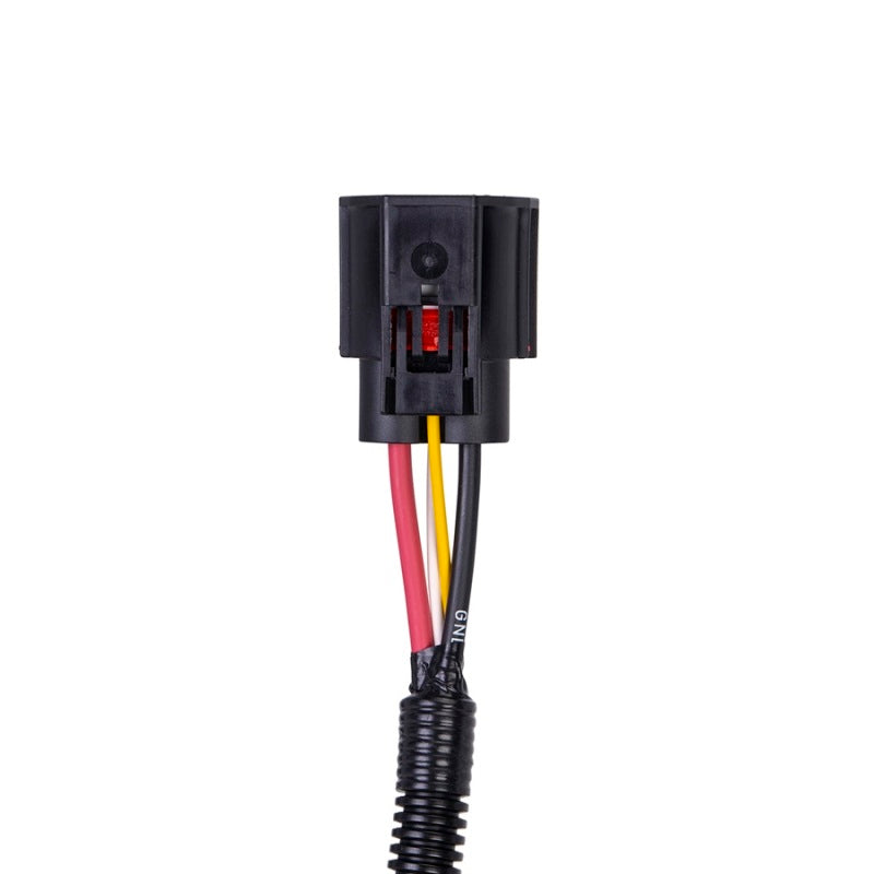 SPAL SBL-YAZ-PT10-PKG - SPLSBL-YAZ-PT10-PKG - SPAL Harness Adapter for Brushless Fans - Shipped in Europe - Tuningsupply.com