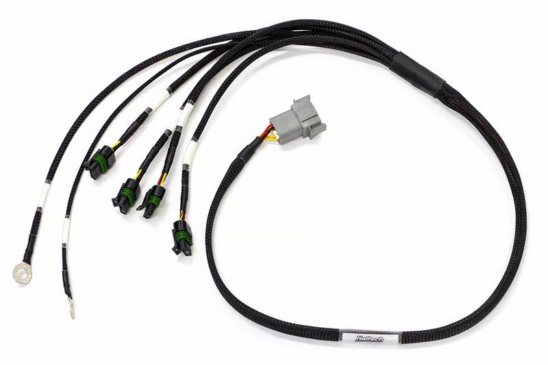 Haltech HT-130336 - HALHT-130336 - Haltech Elite 1000/1500 Terminated Ignition Harness - Shipped in Europe - Tuningsupply.com