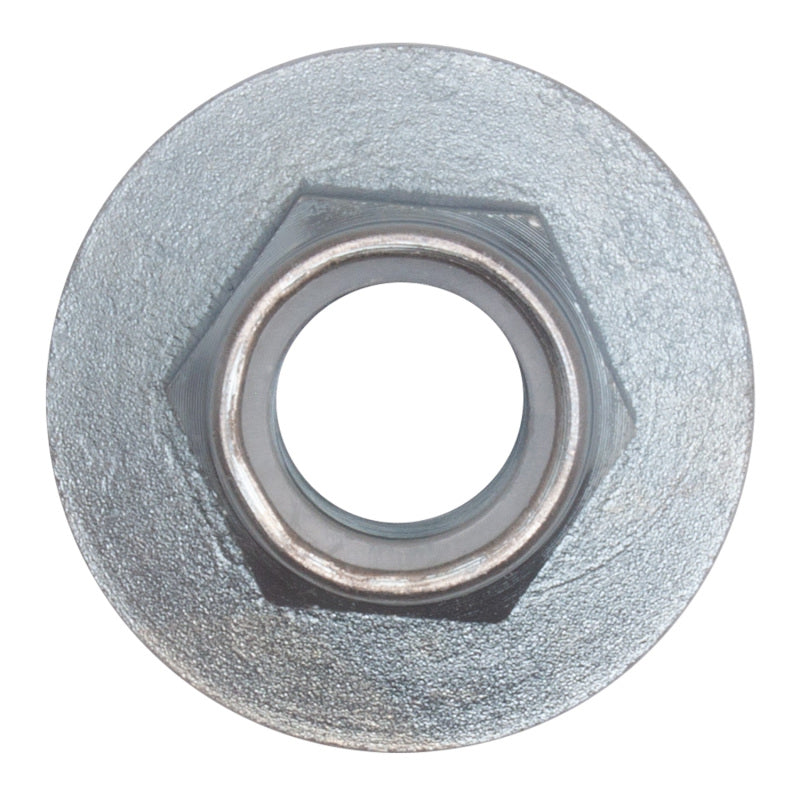 DFC 345-54003 - DFC345-54003 - DFC 04-08 Ford F-150 RWD Front Bearing Nut - Shipped in Europe - Tuningsupply.com