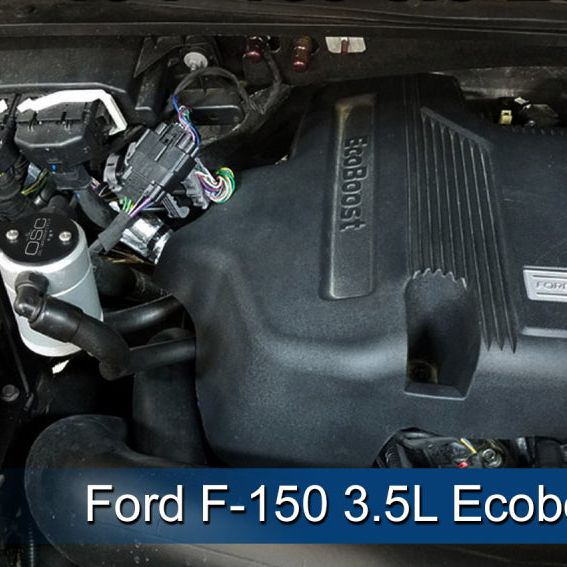 J&L 3016P-C - JLT3016P-C - J&L 2011-2025 Ford F-150 2.7L/3.5L/5.0L Passenger Side Oil Separator 3.0 - Clear Anodized - Shipped in Europe - Tuningsupply.com