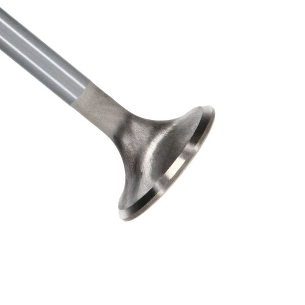 Manley Performance 11623-8 - MAN11623-8 - Manley Ford Coyote 5.0L DOHC 4 Valve 31mm Triple Groove Race Master Exhaust Valves (Set of 8) - Shipped in Europe - Tuningsupply.com