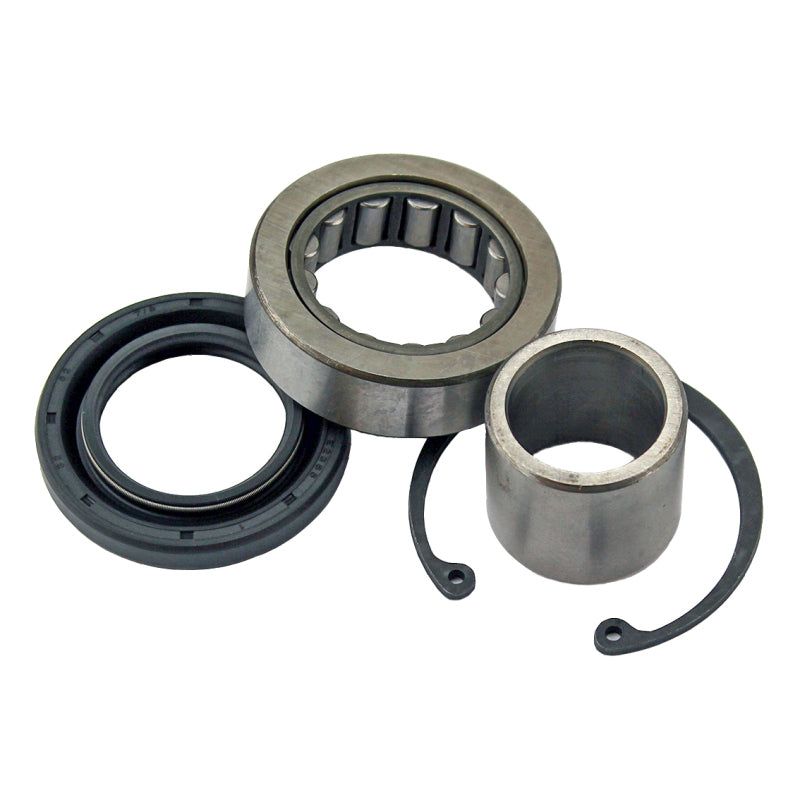 All Balls Racing 25-3103 - ABR25-3103 - All Balls Racing 12-16 Harley-Davidson FLD Dyna Switchback Inner Primary Bearing & Seal Kt OEM style - Shipped in Europe - Tuningsupply.com