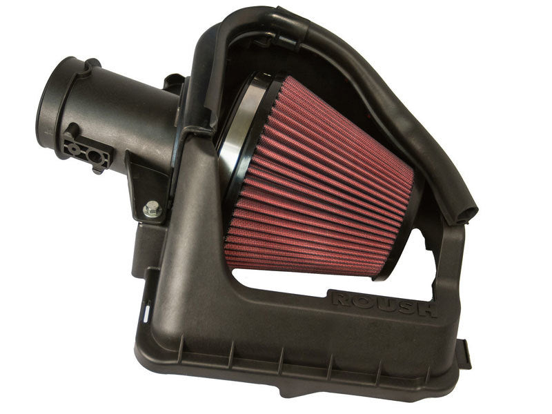 Roush 421641 - RSH421641 - Roush 2012-2014 Ford F-150 3.5L EcoBoost Cold Air Intake - Shipped in Europe - Tuningsupply.com