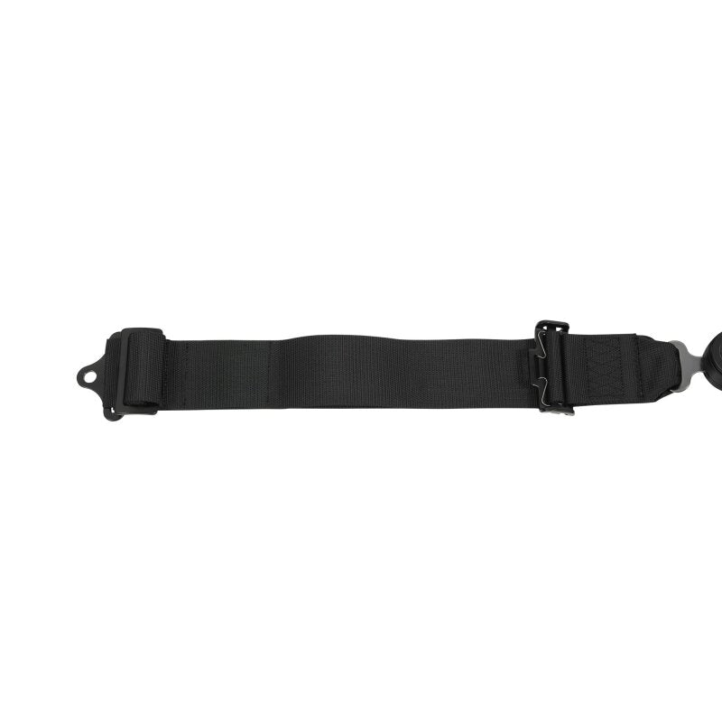 Racequip 741001RQP - RQP741001RQP - RaceQuip Black SFI CAMLOCK 5pt PD Lap Seat Belt - Shipped in Europe - Tuningsupply.com