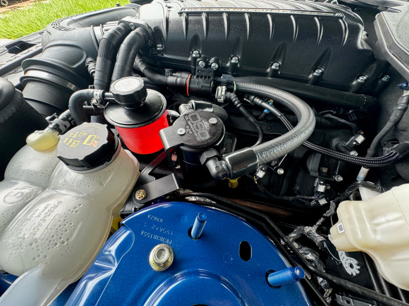 J&L 3092D-B - JLT3092D-B - J&L 24+ Ford Mustang 5.0L (w/ Whipple Supercharger) Oil Separator - 3.0 CCV Side Black Anodized - Shipped in Europe - Tuningsupply.com