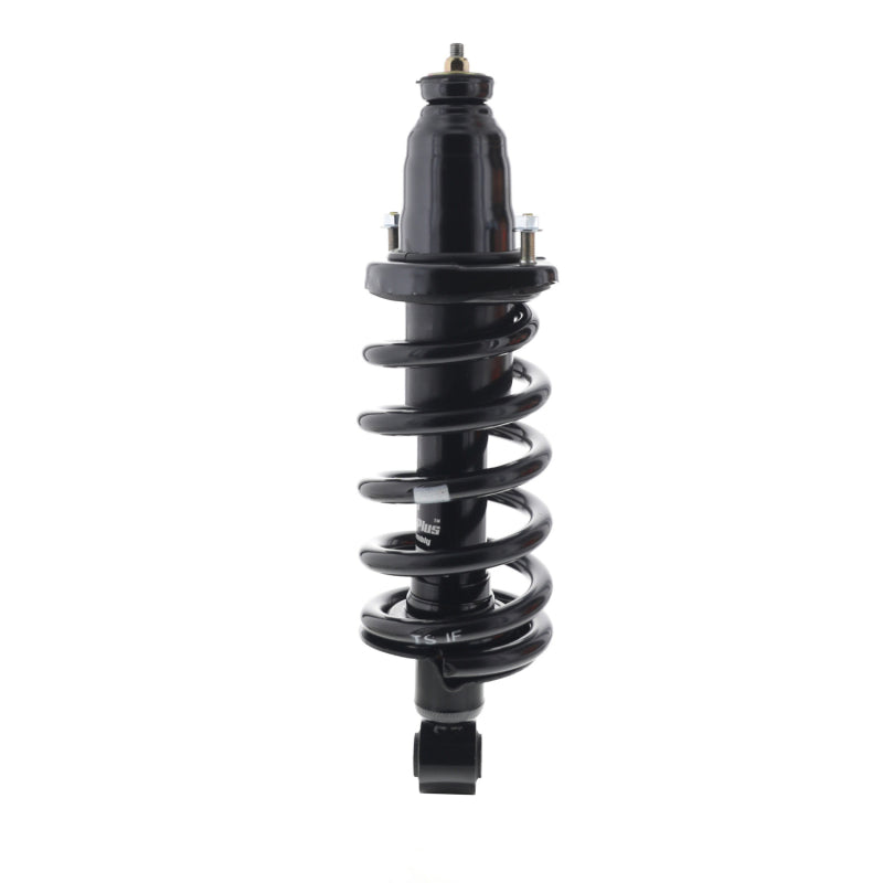 KYB SR4606 - KYBSR4606 - KYB Shocks & Struts Strut Plus Left Rear 03-11 Honda Element - Shipped in Europe - Tuningsupply.com