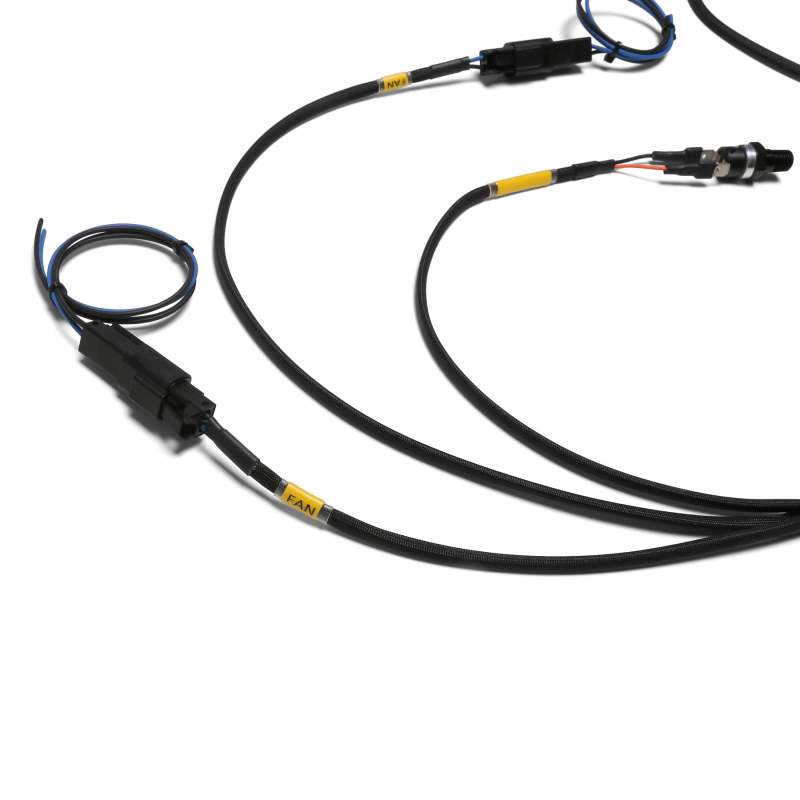 Chase Bays CB-2FANRLY - CHBCB-2FANRLY - Chase Bays Dual Fan Relay Wiring Harness w/180 Deg F Thermoswitch - Shipped in Europe - Tuningsupply.com