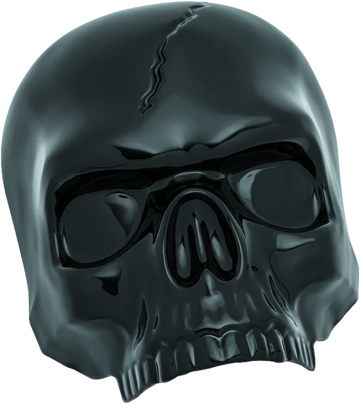 Kuryakyn 5731 - KUR5731 - Kuryakyn Skull Horn Cover Black - Shipped in Europe - Tuningsupply.com