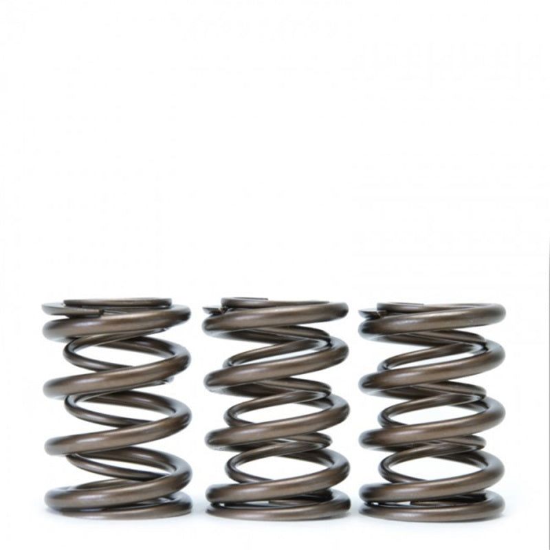 Skunk2 Racing 311-05-1350 - SKK311-05-1350 - Skunk2 Tuner Series Honda/Acura (B16A/ B17A/ B18C) DOHC VTEC Alpha Valve Spring Set (Dual Springs) - Shipped in Europe - Tuningsupply.com