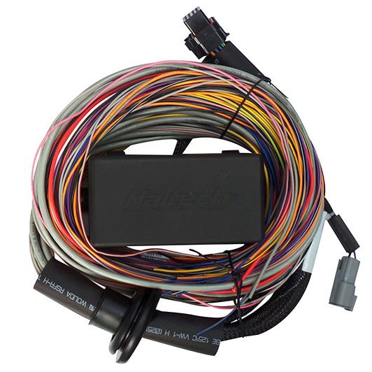 Haltech HT-140604 - HALHT-140604 - Haltech Elite 750 Premium Universal Wire-In Harness - 2.5m (8ft) - Shipped in Europe - Tuningsupply.com