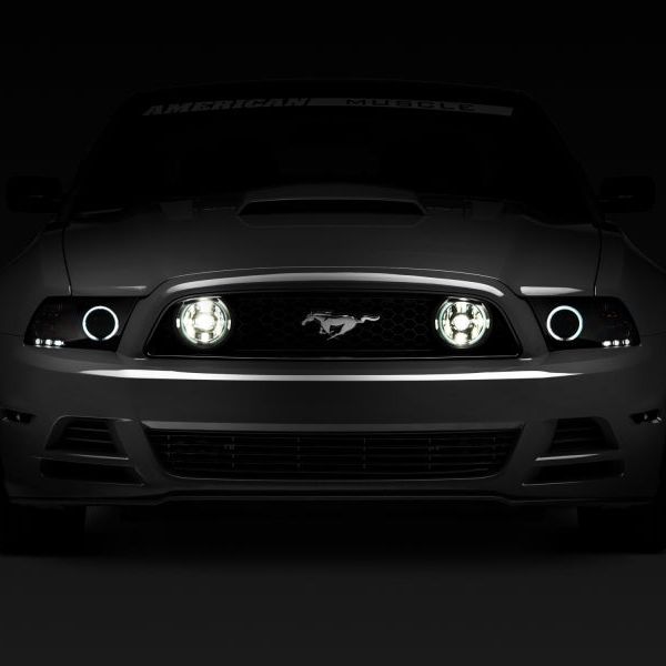Raxiom 49177 - RAX49177 - Raxiom 13-14 Ford Mustang GT CCFL Halo Fog Lights (Smoked) - Shipped in Europe - Tuningsupply.com