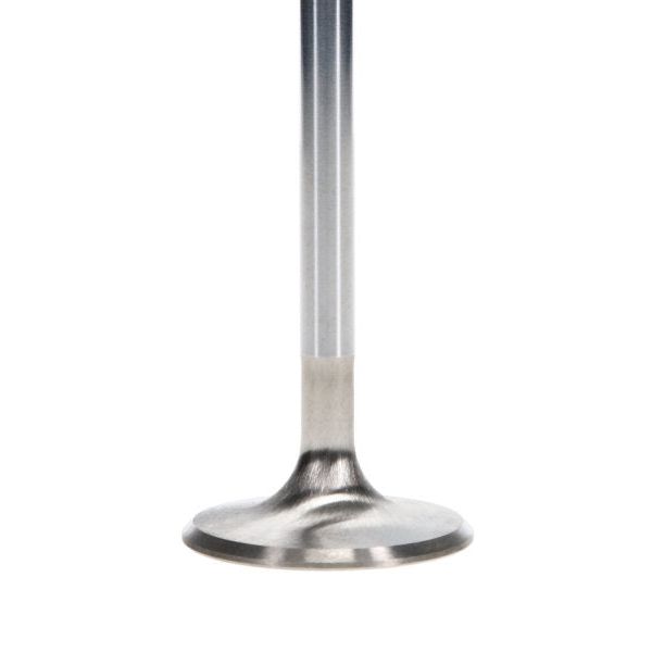 Manley Performance 11616-8 - MAN11616-8 - Manley Ford 4.6L DOHC (4 Valve) Triple Groove 37mm Race Master Intake Valves - Shipped in Europe - Tuningsupply.com