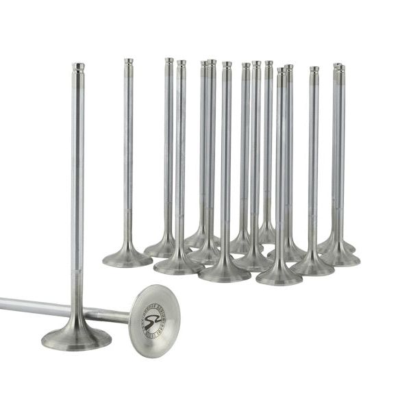 Skunk2 Racing 310-05-1600 - SKK310-05-1600 - Skunk2 Alpha Series Honda/Acura Stock Size D Series Valve Set (Standard Compression) - Shipped in Europe - Tuningsupply.com