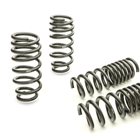 Eibach 28105.140 - EIB28105.140 - Eibach Pro-Kit for 11-12 Dodge Charger 2WD V6 / 2WD V8 (Will Not Effect Vehicle Height On Scat Pack) - Shipped in Europe - Tuningsupply.com