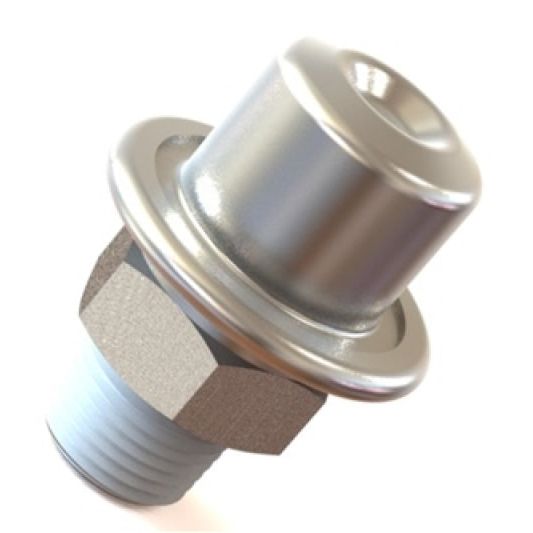 Radium Engineering 14-0128 - RAD14-0128 - Radium Engineering Fuel Pulse Damper - Shipped in Europe - Tuningsupply.com