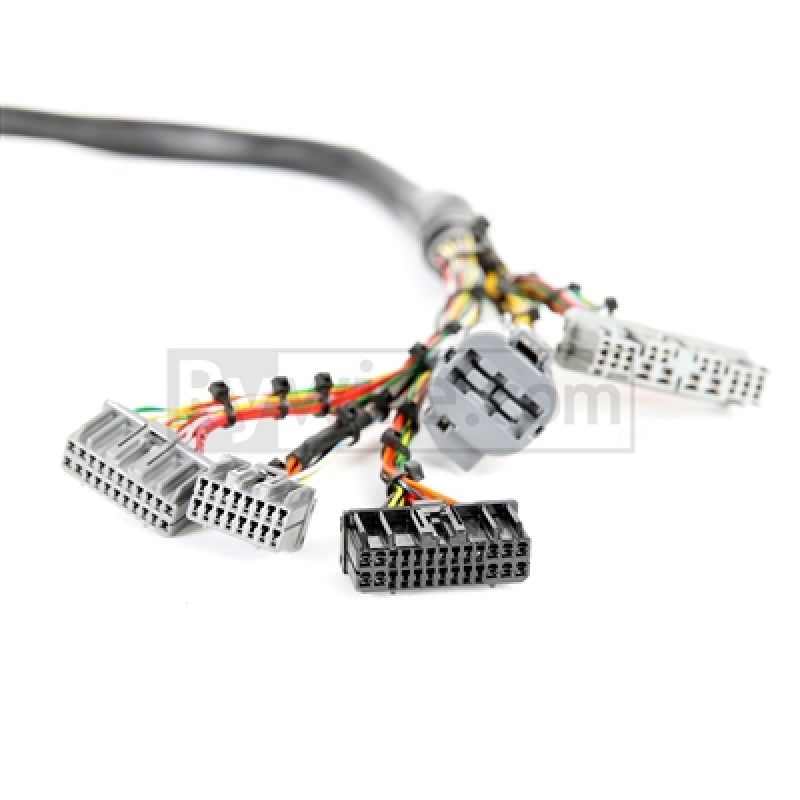 Rywire RY-B1-MILSPEC - RYWRY-B1-MILSPEC - Rywire Honda B/D-Series Mil-Spec Eng Harness w/OBD1 Dist/Inj/Alternator & 92-95 Plugs (Adapter Req) - Shipped in Europe - Tuningsupply.com