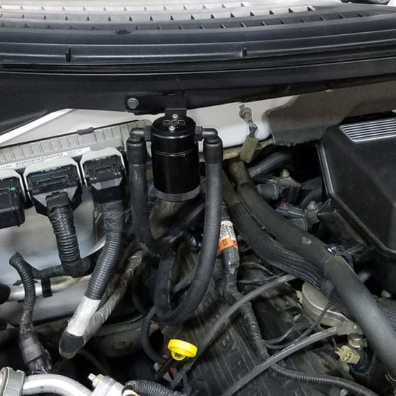 J&L 3036P-B - JLT3036P-B - J&L 11-14 Ford F-150/Ford F-150 Raptor 6.2L Passenger Side Oil Separator 3.0 - Black Anodized - Shipped in Europe - Tuningsupply.com