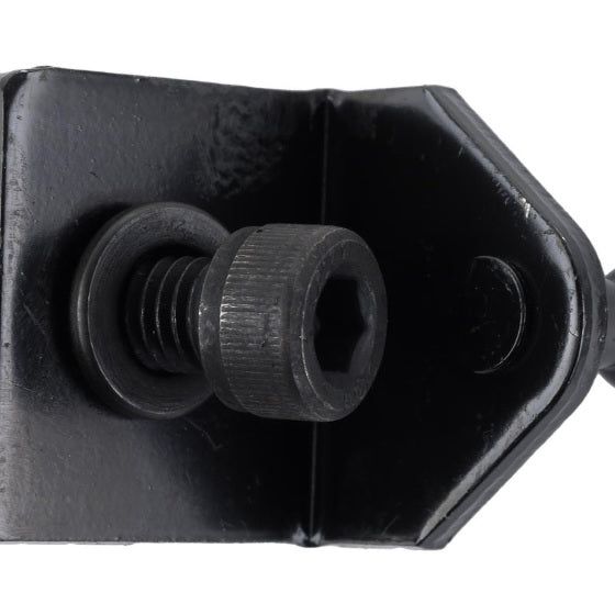 Ford Racing M-16826-MA - FRPM-16826-MA - Ford Racing 15-23 Ford Mustang Hood Lift Kit w/Laser Engraving Ford Logo (Excl GT350/GT350R) - Shipped in Europe - Tuningsupply.com