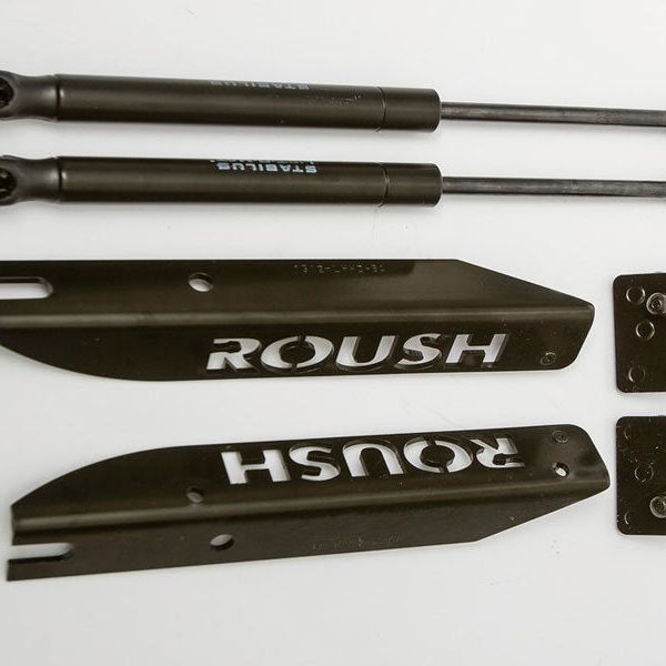 Roush 421236 - RSH421236 - Roush 2005-2014 Ford Mustang Hood Strut Kit (Excl. GT500) - Shipped in Europe - Tuningsupply.com