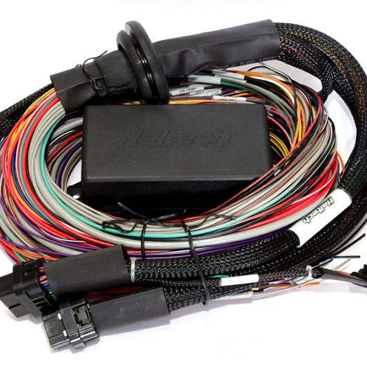 Haltech HT-141304 - HALHT-141304 - Haltech Elite 2500/2500 T Premium Universal Wire-In Harness - 2.5m (8ft) - Shipped in Europe - Tuningsupply.com