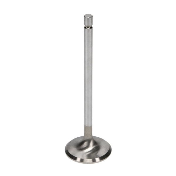 Manley Performance 12347-8 - MAN12347-8 - Manley Chevy LT-1 6.2L 1.590in Head Diameter Pro Flo/Severe Duty Exhaust Valves (Set of 8) - Shipped in Europe - Tuningsupply.com
