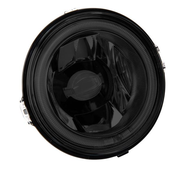 Raxiom 49177 - RAX49177 - Raxiom 13-14 Ford Mustang GT CCFL Halo Fog Lights (Smoked) - Shipped in Europe - Tuningsupply.com