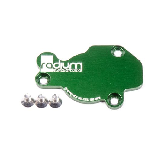 Radium Engineering 20-0449 - RAD20-0449 - Radium Engineering Mazda 13B-REW ACV Block Off - Shipped in Europe - Tuningsupply.com