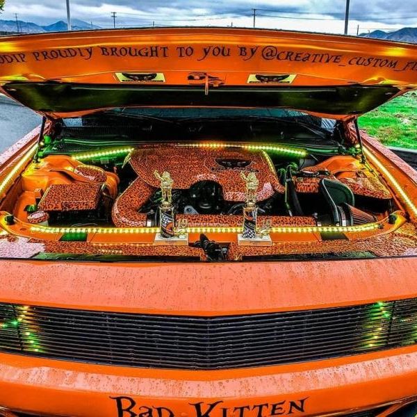 ORACLE Lighting 2704-333 - ORL2704-333 - Oracle Engine Bay 5050 SMD Kit - RGB ColorSHIFT - Shipped in Europe - Tuningsupply.com