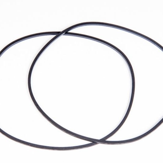 Radium Engineering 20-0088 - RAD20-0088 - Radium Engineering Multi-Pump Fuel Surge Tank O-Ring Service Kit - Shipped in Europe - Tuningsupply.com