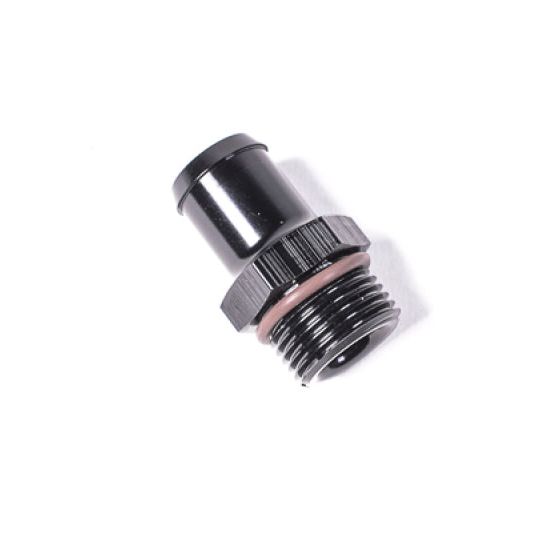 Radium Engineering 14-0194 - RAD14-0194 - Radium Engineering 10AN ORB to Barb .750in Hose - Shipped in Europe - Tuningsupply.com