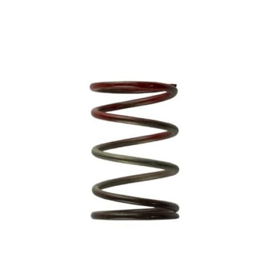 Turbosmart TS-0505-2004 - TURTS-0505-2004 - Turbosmart WG40 11PSI Middle Spring Brown/Red - Shipped in Europe - Tuningsupply.com