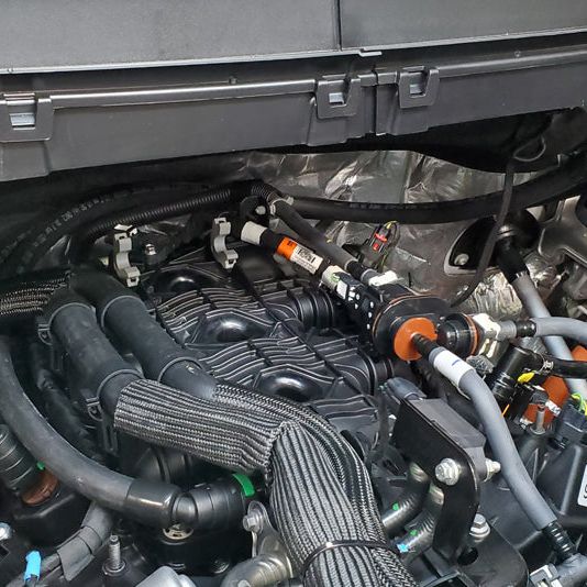 J&L 3028P-B - JLT3028P-B - J&L 2021-2025 Ford F-150 3.5L Passenger Side Oil Separator 3.0 - Black Anodized - Shipped in Europe - Tuningsupply.com