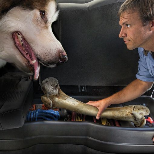 Husky Liners 09211 - HSL09211 - Husky Liners 00-12 Ford F-250/F-350 Super Cab Husky GearBox - Shipped in Europe - Tuningsupply.com