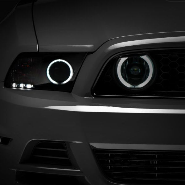 Raxiom 49177 - RAX49177 - Raxiom 13-14 Ford Mustang GT CCFL Halo Fog Lights (Smoked) - Shipped in Europe - Tuningsupply.com