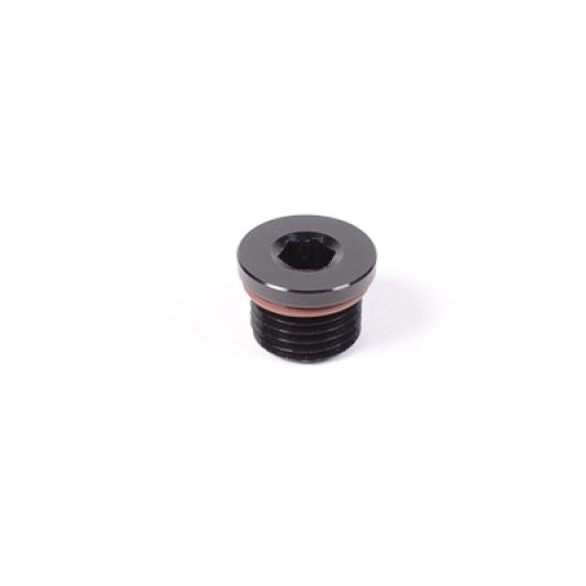 Radium Engineering 14-0149 - RAD14-0149 - Radium Engineering 6AN ORB Plug - Shipped in Europe - Tuningsupply.com
