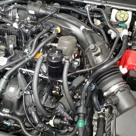 J&L 3044D-B - JLT3044D-B - J&L 19-24 Ford/Lincoln SUV & Trucks w 2.0 EcoBoost Driver Side Oil Separator 3.0 - Black Ano - Shipped in Europe - Tuningsupply.com