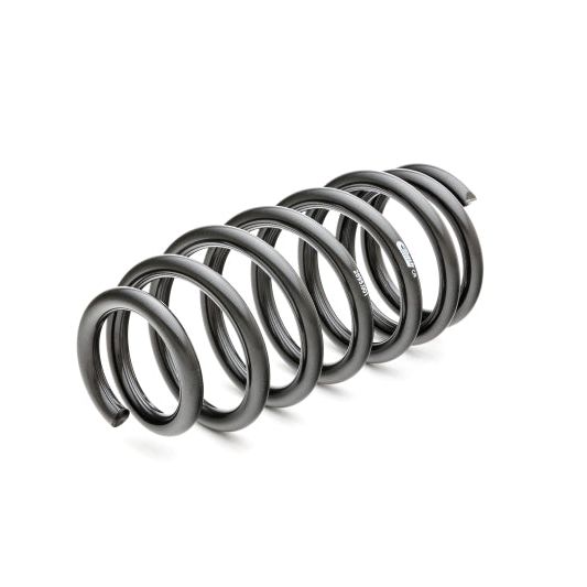 Eibach 2895.140 - EIB2895.140 - Eibach Pro-Kit for 11-12 Dodge Challenger SE/LC 3.6L V6 - Shipped in Europe - Tuningsupply.com