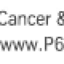 Bilstein 22-145697 - BIL22-145697 - Bilstein B4 08-13 Smart Fortwo Front Twintube Strut Assembly - Shipped in Europe - Tuningsupply.com
