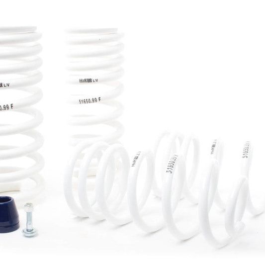 H&R 51650-99 - HRS51650-99 - H&R 94-95 Ford Mustang/Mustang Cobra V8 Super Race Spring - Shipped in Europe - Tuningsupply.com