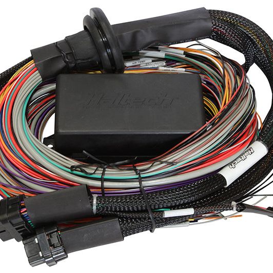 Haltech HT-140904 - HALHT-140904 - Haltech Elite 1500 Premium Universal Wire-In Harness - 2.5m (8ft) - Shipped in Europe - Tuningsupply.com