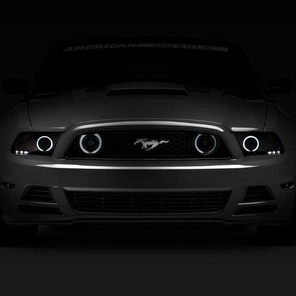 Raxiom 49177 - RAX49177 - Raxiom 13-14 Ford Mustang GT CCFL Halo Fog Lights (Smoked) - Shipped in Europe - Tuningsupply.com