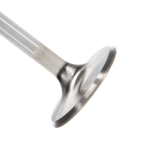 Manley Performance 11616-8 - MAN11616-8 - Manley Ford 4.6L DOHC (4 Valve) Triple Groove 37mm Race Master Intake Valves - Shipped in Europe - Tuningsupply.com