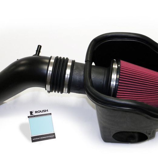 Roush 421980 - RSH421980 - Roush 2015-2017 F-150 5.0L V8 Cold Air Intake Kit - Shipped in Europe - Tuningsupply.com