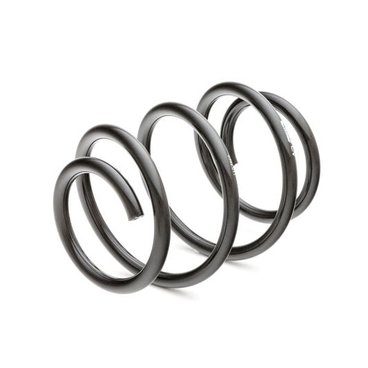 Eibach 6392.140 - EIB6392.140 - Eibach Pro-Kit for 09-12 Nissan Maxima - Shipped in Europe - Tuningsupply.com