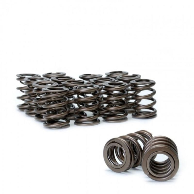 Skunk2 Racing 311-05-1360 - SKK311-05-1360 - Skunk2 Tuner Series Honda/Acura (H22A/F20B) DOHC VTEC Alpha Valve Spring Set (Dual Springs) - Shipped in Europe - Tuningsupply.com